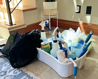 next cleaning
